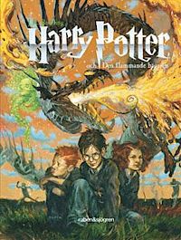 Harry Potter und der Feuerkelch (4)