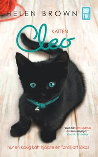 Katten Cleo : hur en kaxig katt hjlpte en familj att lkas